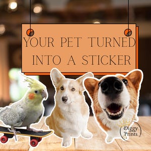 Sticker personnalisable pour animal de compagnie | votre propre autocollant d'image d'animal de compagnie | Sticker imperméable personnalisé