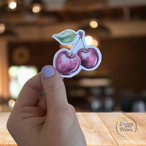 Sticker cerise coquette | Sticker fruit imperméable mignon | Sticker pour ordinateur portable cerise vintage | (1 à 3 pouces)
