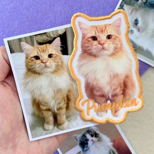 May include: A collection of cat-themed items. The image features a photo print and an embroidered patch of a fluffy orange cat. The patch has the name "Pumpkin" embroidered in a cursive font. Other cat photos are visible in the background.