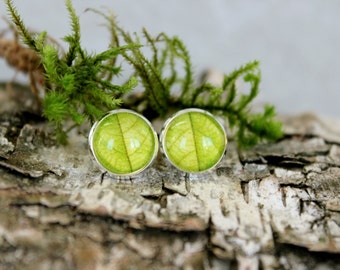 Orecchini per borchie in foglia verde, orecchini per borchie in tono d'argento, orecchini per borchie a cupola di vetro, gioielli personalizzati