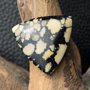 Può includere: Una gemma triangolare con una superficie lucida. La pietra presenta un sorprendente motivo di macchie bianco crema e beige su uno sfondo nero. La gemma viene probabilmente utilizzata per gioielli o scopi decorativi.