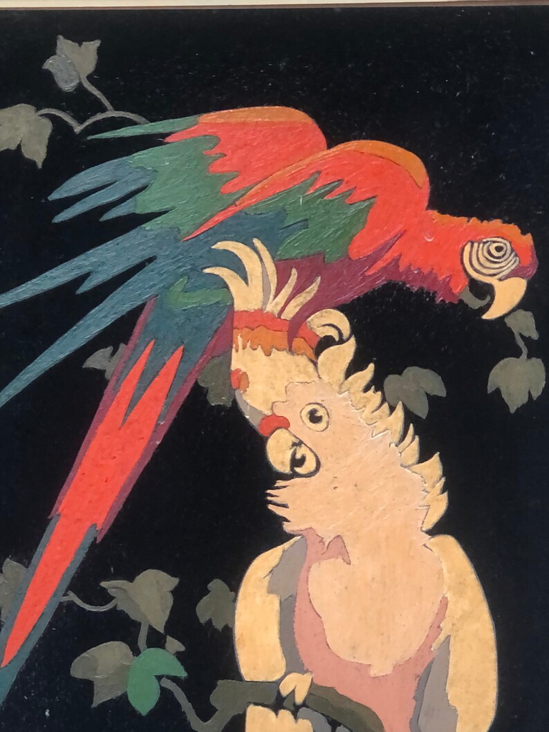 Parrot Cockatoo Paint by Number Velvet Framed Vintage signed Etsy