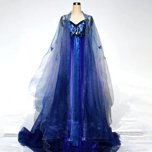 Blue Butterfly Dress