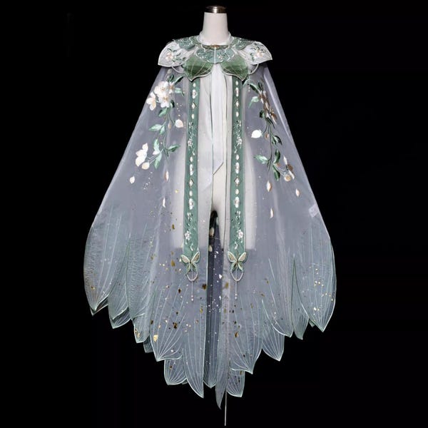 Embroidered Hanfu Cape, Ancient Costume Cloak, Butterfly Ribbon