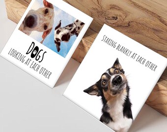 Zabawna kartka z psem: Psy wpatrujące się w siebie (wersja cyfrowa do pobrania)