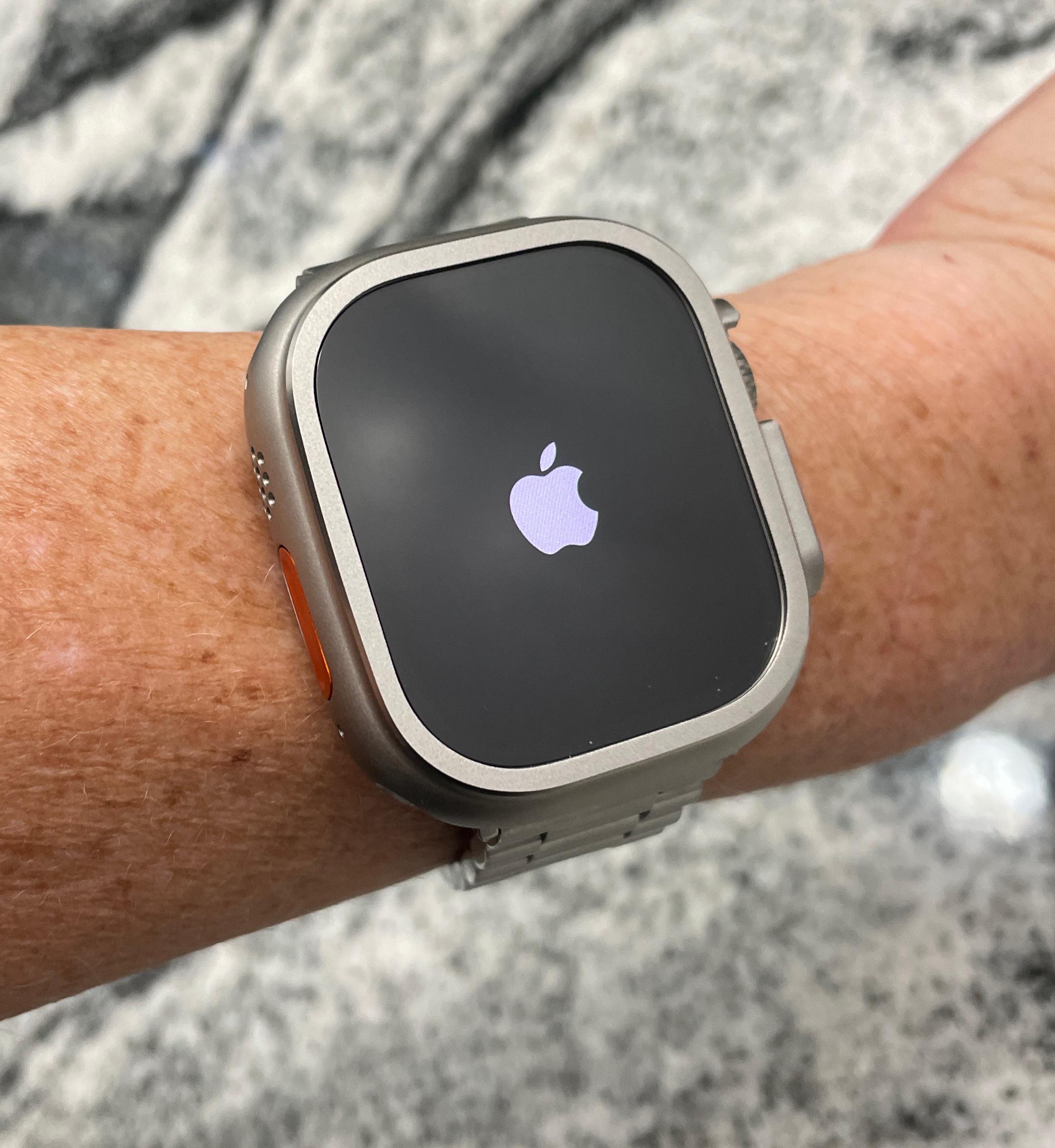 Apple Watch チタンカラーのステンレススチールケースとApple Watch
