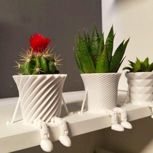 Mini Cactus Family Flower Pot 3D Printable STL Set - Home Decor, Garden Design, Gift Idea for Cactus Lovers, Digital Product
