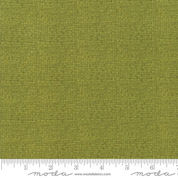 Thatched - Sprig by Robin Pickens for Moda Fabrics 48626 14