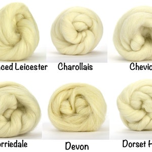 May include: An image showcasing six different types of wool fiber, each in a tightly wound, light cream-colored bundle. The text labels identify the wool types as Bluefaced Leicester, Charollais, Cheviot, Corriedale, Devon, and Dorset Horn.