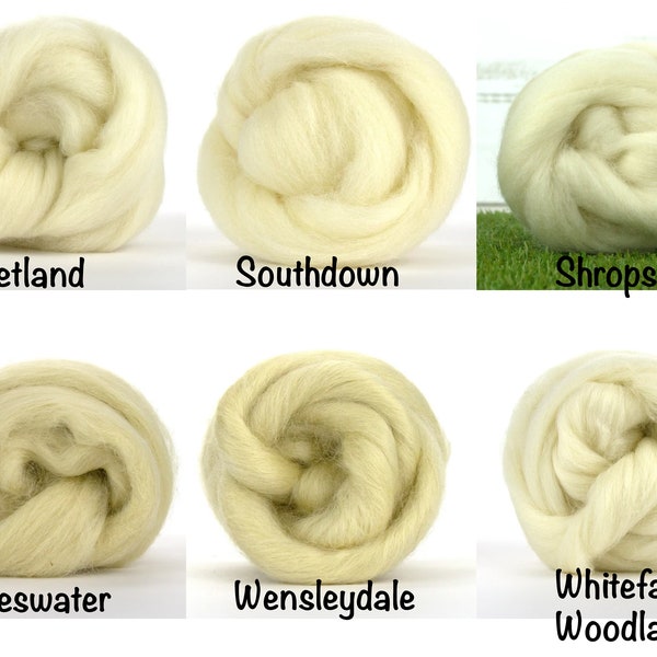 Natural Wool Roving 1 oz - Select- Shetland / Shropshire / Southdown / Teeswater / Wensleydale / Whiteface Woodland, Spinning Fiber, Felting