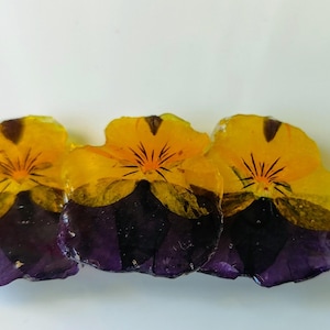 pinza de pelo con flores