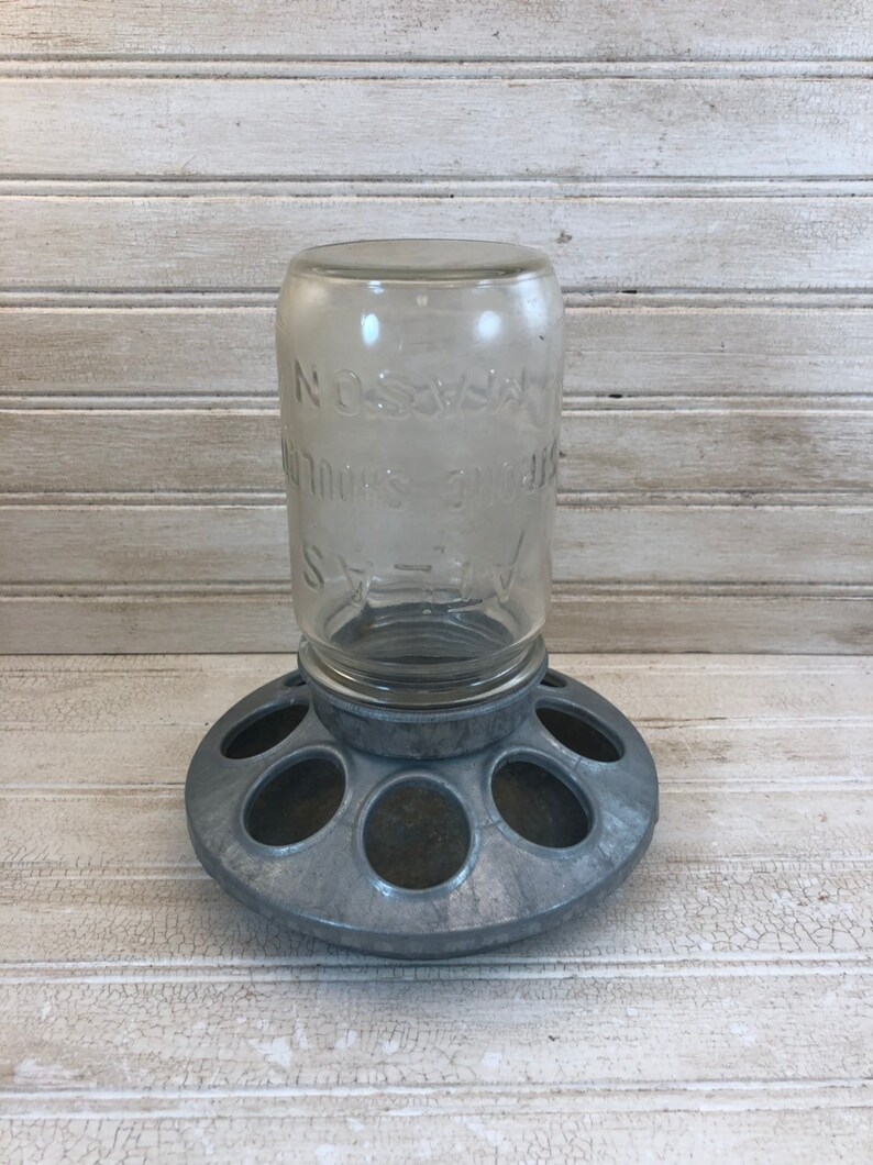Vintage Chicken Feeder Etsy
