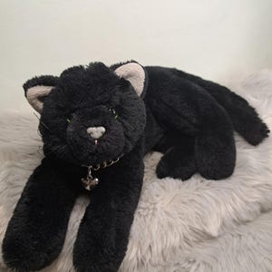 Salem Cat Sabrina Teenage Witch - Etsy