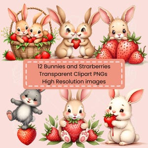 12 images PNG clipart lapin mignon - aquarelle lapin fraise pour sublimation et cartes