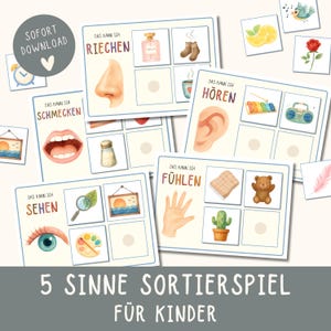 Puede incluir: Un conjunto de tarjetas educativas de clasificación para niños sobre los cinco sentidos. Cada tarjeta muestra un órgano sensorial como un ojo, oído, nariz, boca o mano, con ilustraciones de objetos para clasificar por vista, oído, olfato, gusto o tacto.