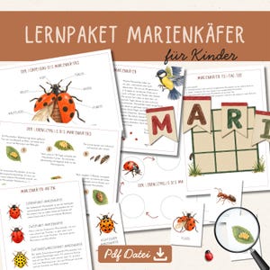 Könnte beinhalten: Ein digitales Lernpaket über Marienkäfer mit mehreren druckbaren Seiten, die Aquarellillustrationen von Lebenszyklen, Anatomie und Arten von Marienkäfern sowie ein Tic-Tac-Toe-Spiel und deutschen Text enthalten, bereitgestellt als PDF-Datei.