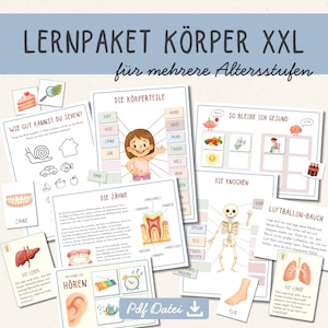 Könnte beinhalten: Eine Sammlung von pädagogischen Arbeitsblättern mit dem Titel LERNPAKET KÖRPER XXL für verschiedene Altersstufen. Die Seiten enthalten Illustrationen der menschlichen Anatomie, darunter ein Skelett, Zähne und Organe, sowie Text und Aufgaben.