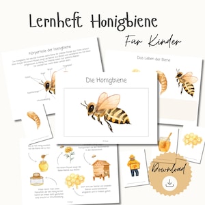 Material Biene für Kinder | PDF Tiere Natur Frühling Kita Insekten Ausmalbilder Vorschule Grundschule lernen Lernkarten Download basteln DIY