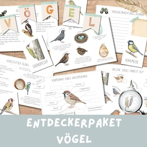 Vögel Materialpaket für Kinder | Heimische Vögel Montessori Material Sachunterricht Bastelvorlage Herbst Arbeitsblatt Winter Vogelarten PDF