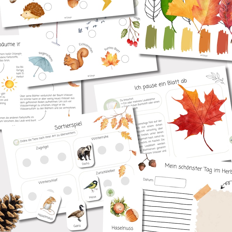 Herbst Materialpaket für Kinder | Natur PDF Lernmaterial Kita