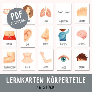 Lernkarten Körperteile | Montessori Karten Körper Organe Anatomie für Kleinkind Kita Kindergarten Sprachförderung Flash Cards Download PDF