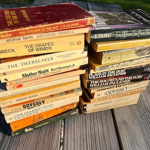 Vintage Paperback books (Priced per book)