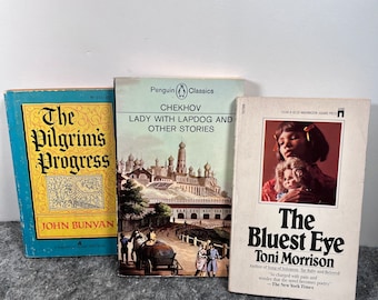 Vintage Paperback books (by the book) Native Son, Pilgrim’s Progress, Bluest Eye, Lady with Lapdog….