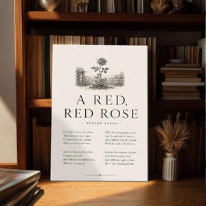 May include: A rectangular white wall art print featuring a black ink illustration of a single rose above the title A RED, RED ROSE by Robert Burns. The text includes the full poem in black serif font, centred on a clean, off-white background.