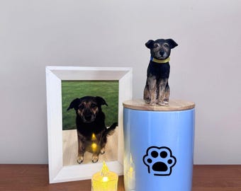 Personalized Pet Urn for Ashes,Custom Dog or Cat Memorial Urn with Handmade Figurine, Ceramic Pet Loss Keepsake Remembrance Box
