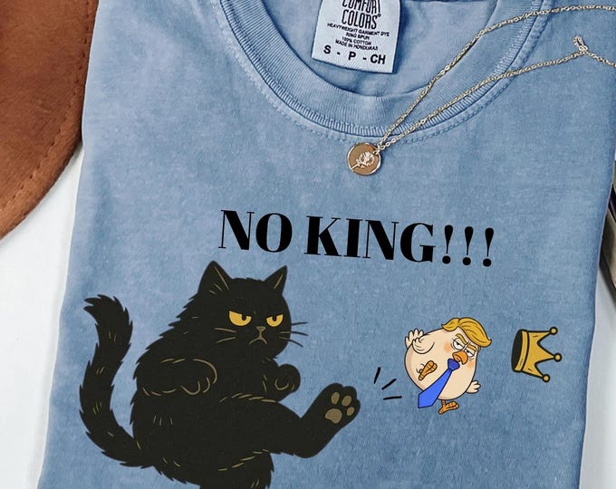 Featured listing image: Comfort Colors Black Cat Political Meme T-Shirt