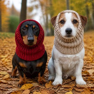 May include: A black and tan dachshund wearing a red ribbed knit snood and a white and brown Jack Russell terrier wearing a beige ribbed knit snood, both sitting outdoors among fallen autumn leaves in a wooded area.