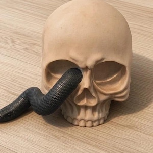 May include: A beige human skull sculpture with a textured surface, featuring a black snake winding through the left eye socket. The skull displays realistic anatomical details including the nasal cavity, cheekbones, and teeth, with the snake's body.