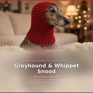 Può includere: Un cane tigrato indossa uno snood in maglia a coste rosso scuro che copre la testa e il collo. Il testo recita: KNITTING PATTERN FOR SIGHTHOUNDS Greyhound & Whippet Snood. Neck & ear warmer · PDF. Aran yarn · 5 mm needles · Easy. 4 sizes: Italian greyhound to large greyhound.