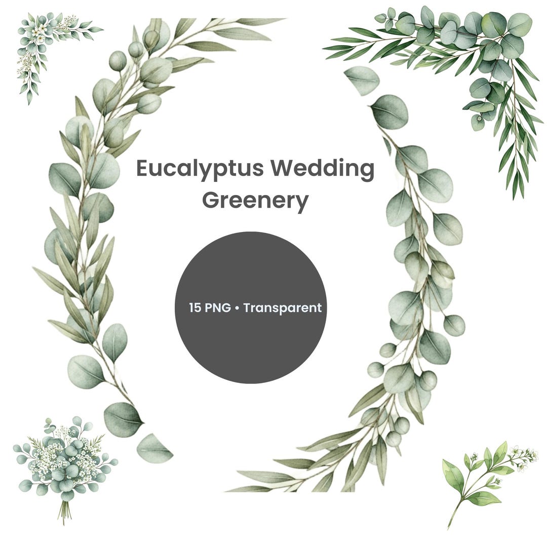 Wedding Greenery Clipart PNG, Watercolor Eucalyptus Olive Wreaths ...