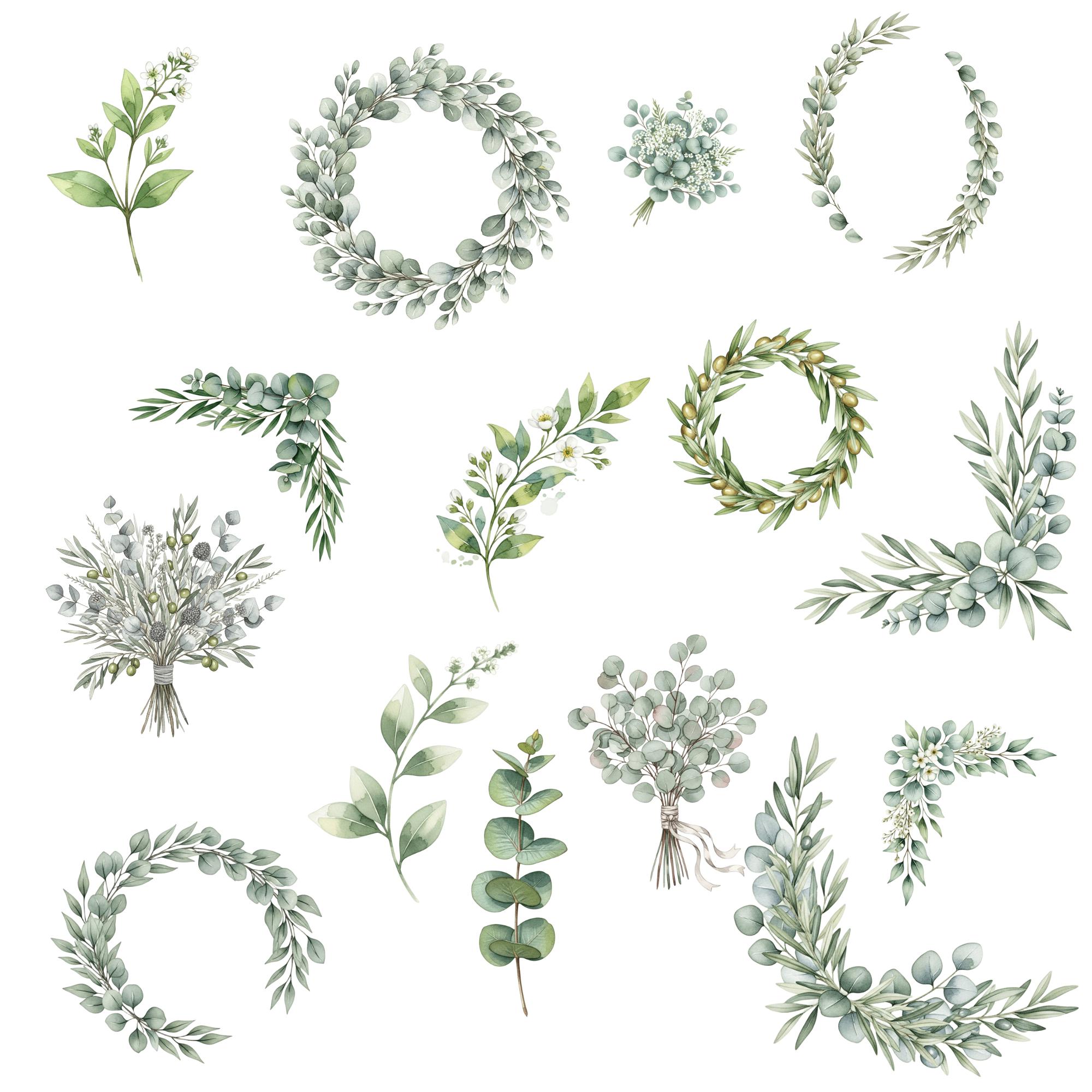Wedding Greenery Clipart PNG, Watercolor Eucalyptus Olive Wreaths ...