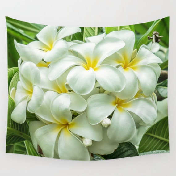 Items similar to Tapestry, Hawaii, Plumeria, Wall Hanging, Nature Tapestry, Green, White