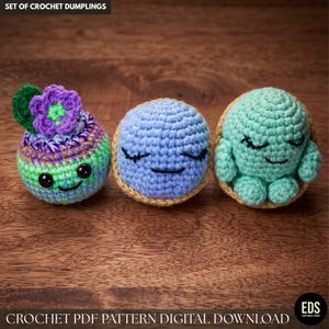 Peut inclure: Un ensemble de trois boulettes au crochet avec le texte SET OF CROCHET DUMPLINGS et CROCHET PDF PATTERN DIGITAL DOWNLOAD. La première est verte et violette avec une fleur, la deuxième est bleue et la troisième est vert menthe.