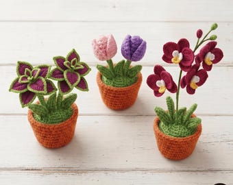 Set of 3 Crochet Flower Pot Pattern Bundle Tulip Coleus Orchid Amigurumi Plant PDF Potted Desk Decor