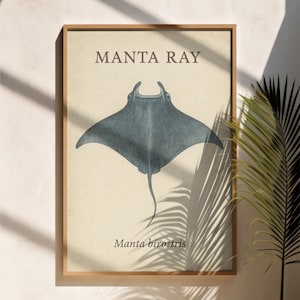 Digitaldruck Küsten Wand Kunst Meeresbiologie Dekor druckbare Ozean Tier Illustration Vintage Manta Rochen Poster Sea Life Decor