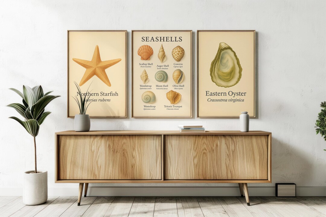 Set of 3 Coastal Posters – Oyster Seashells Starfish Vintage Prints ...