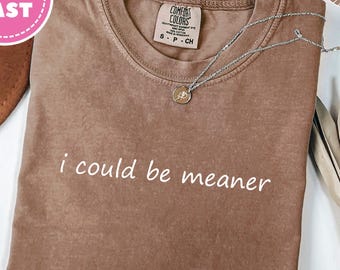 Comfort Colors Funny Sarcastic Shirt: I Could Be Meaner