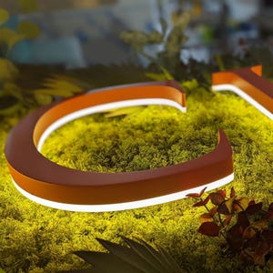 May include: A three-dimensional letter C in a matte orange finish, featuring a bright white LED light strip along its base. The letter is positioned on a bed of vibrant green preserved moss, with small dark red leaves visible in the foreground.