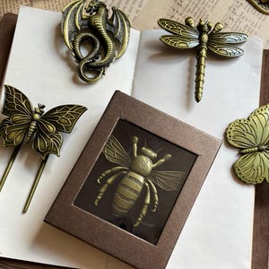 Puede incluir: Un surtido de objetos decorativos de metal de color latón antiguo, que incluyen un dragón, una libélula, dos mariposas y una abeja en una caja marrón. Los objetos están dispuestos sobre un libro abierto con páginas blancas y una superficie de madera.