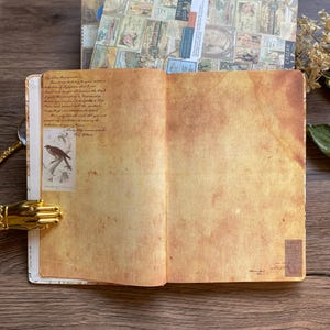 May include: An open journal with aged paper, featuring handwritten text and a bird illustration. The cover of the journal is visible in the background, adorned with vintage-style postage stamp designs. A golden hand-shaped bookmark rests on the page.