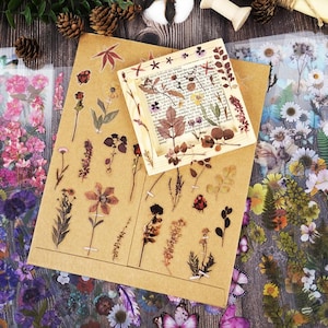 Puede incluir: Una colecci&oacute;n de pegatinas bot&aacute;nicas y papel decorativo. Las pegatinas presentan flores prensadas, hojas y otros elementos naturales en varios colores. El papel tiene un aspecto de papel kraft y est&aacute; decorado con dise&ntilde;os florales.