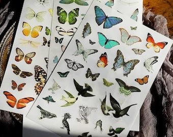 Butterfly Bird Rub on Transfers for Fabric and Journaling, 3 Large Sheets