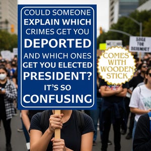Which Crimes Get You Deported Political Protest Sign,Anti Trump Signs,Political Sign,Trump Protest Signs,Anti Trump Yard Signs,Protest Signs image 1