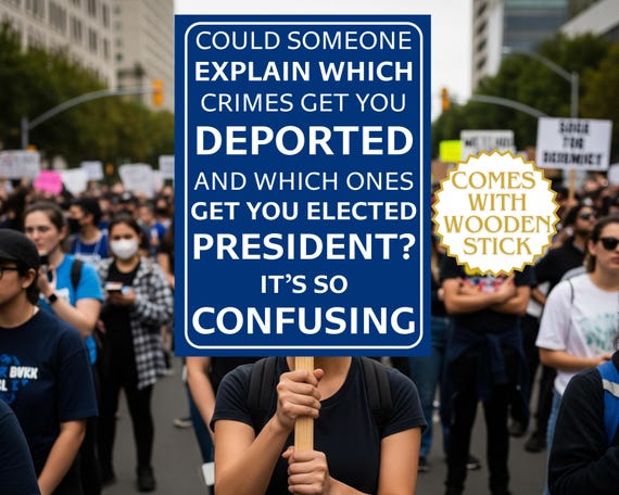 Which Crimes Get You Deported Political Protest Sign,Anti Trump Signs,Political Sign,Trump Protest Signs,Anti Trump Yard Signs,Protest Signs