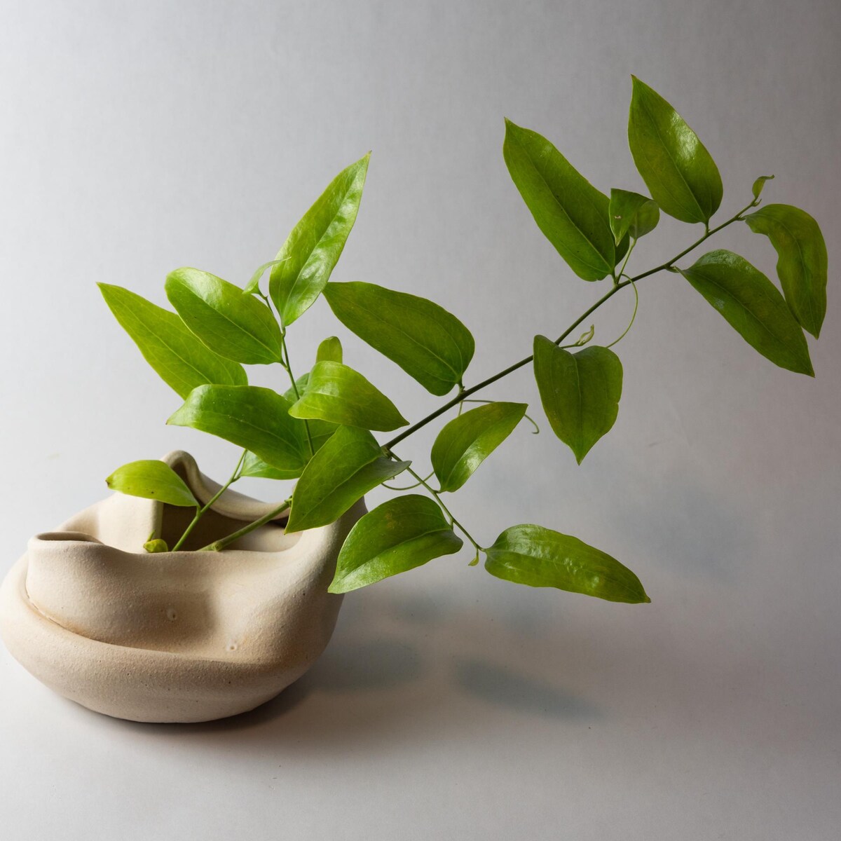 Neutral Tones Handmade Clay Vase - Etsy