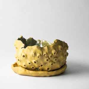 Yellow ceramic orchid planter